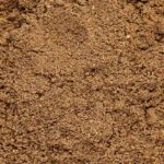 pasty spice close up