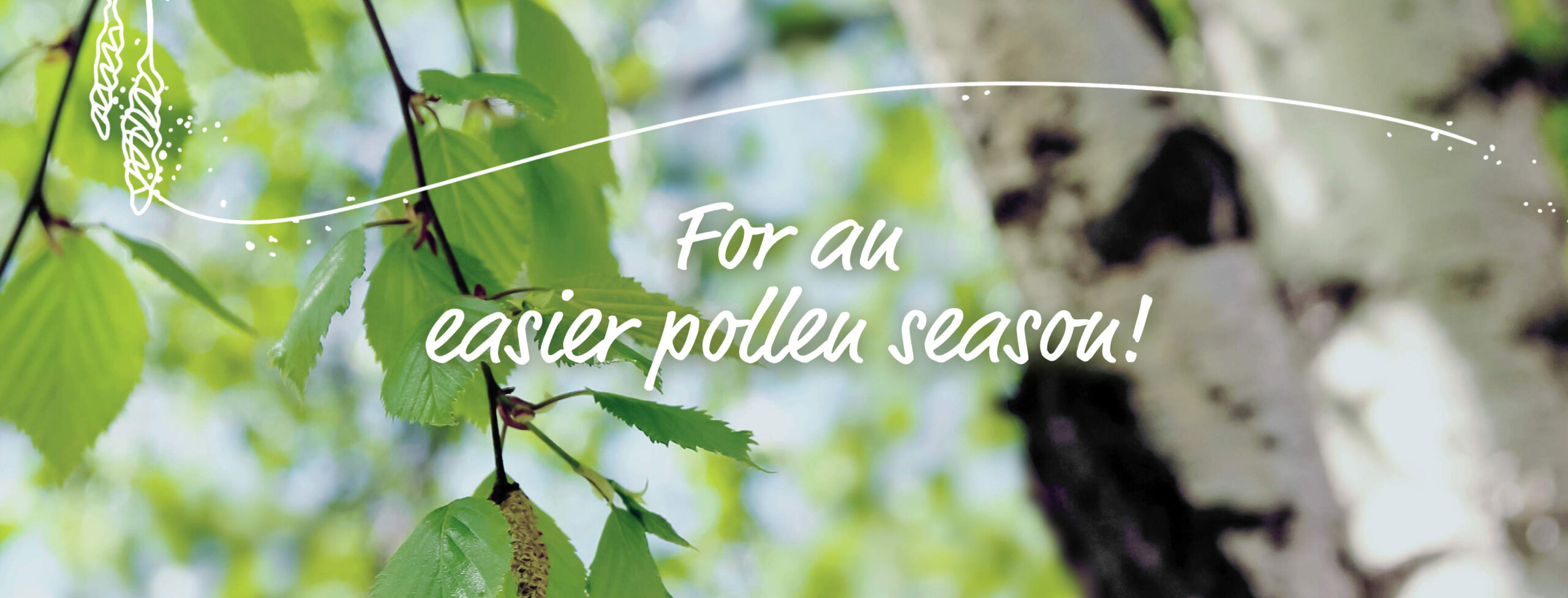 pollen season, allergy, hay fever, pollen, pollen allergy, symptoms