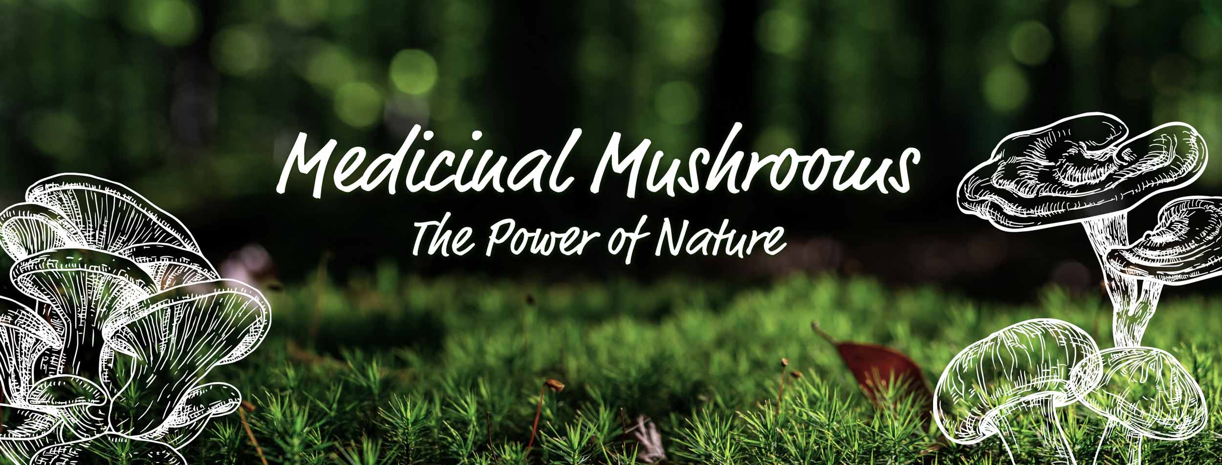 medicinal mushrooms, Chinese medicine, TMC, food supplements