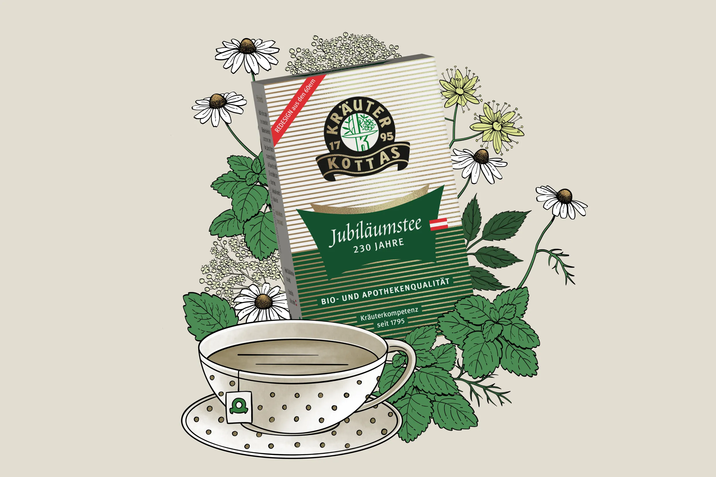 DR. KOTTAS Jubiläumstee-Packung. Rundherum befinden sich Kräuterillustrationen und eine illustrierte Teetasse.