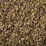 Bio-Gunpowder – Bild 2