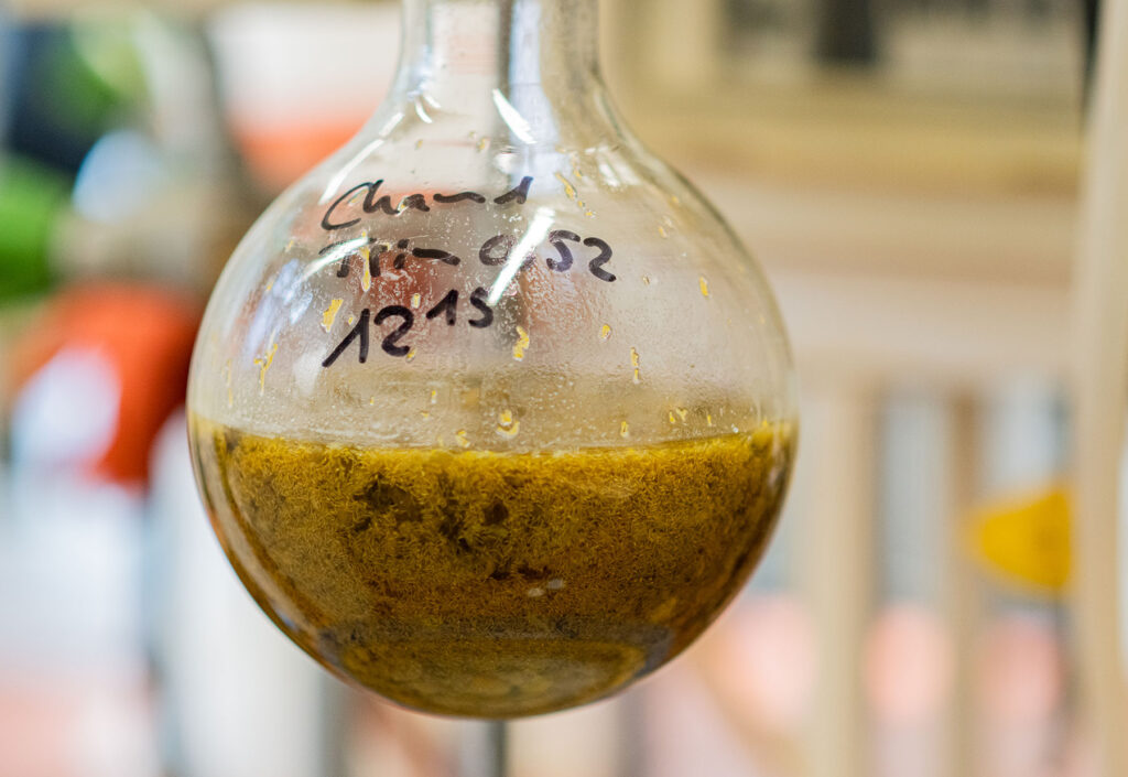 Glas mit gelblich-brauner Flüssigkeit
